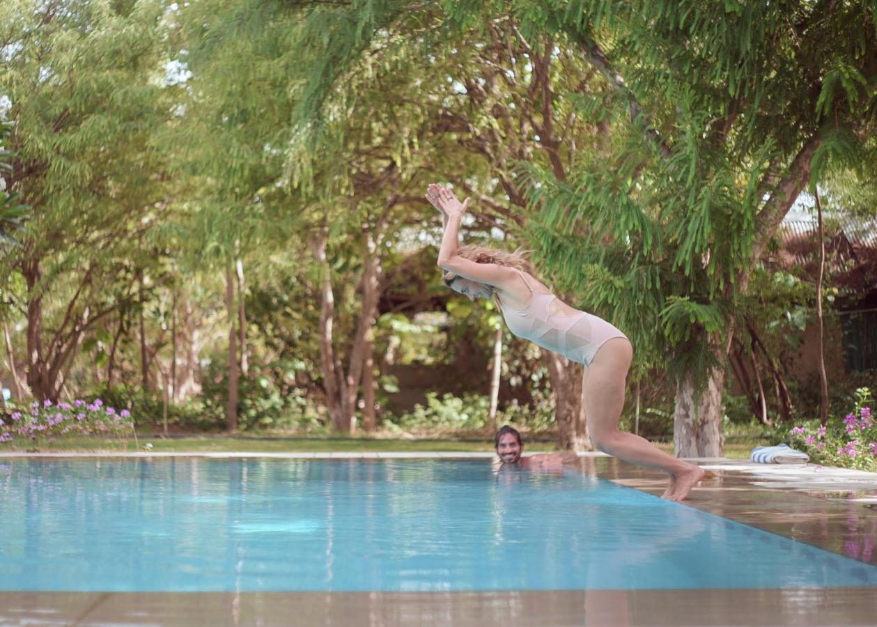 Pushkarorganic - Lux Farm Resort With Pool 外观 照片