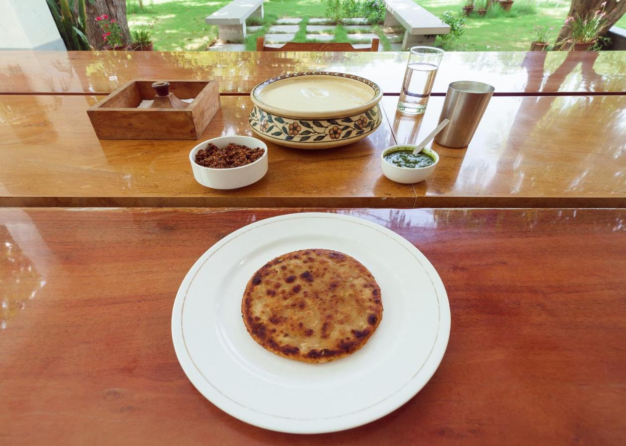 Pushkarorganic - Lux Farm Resort With Pool 外观 照片