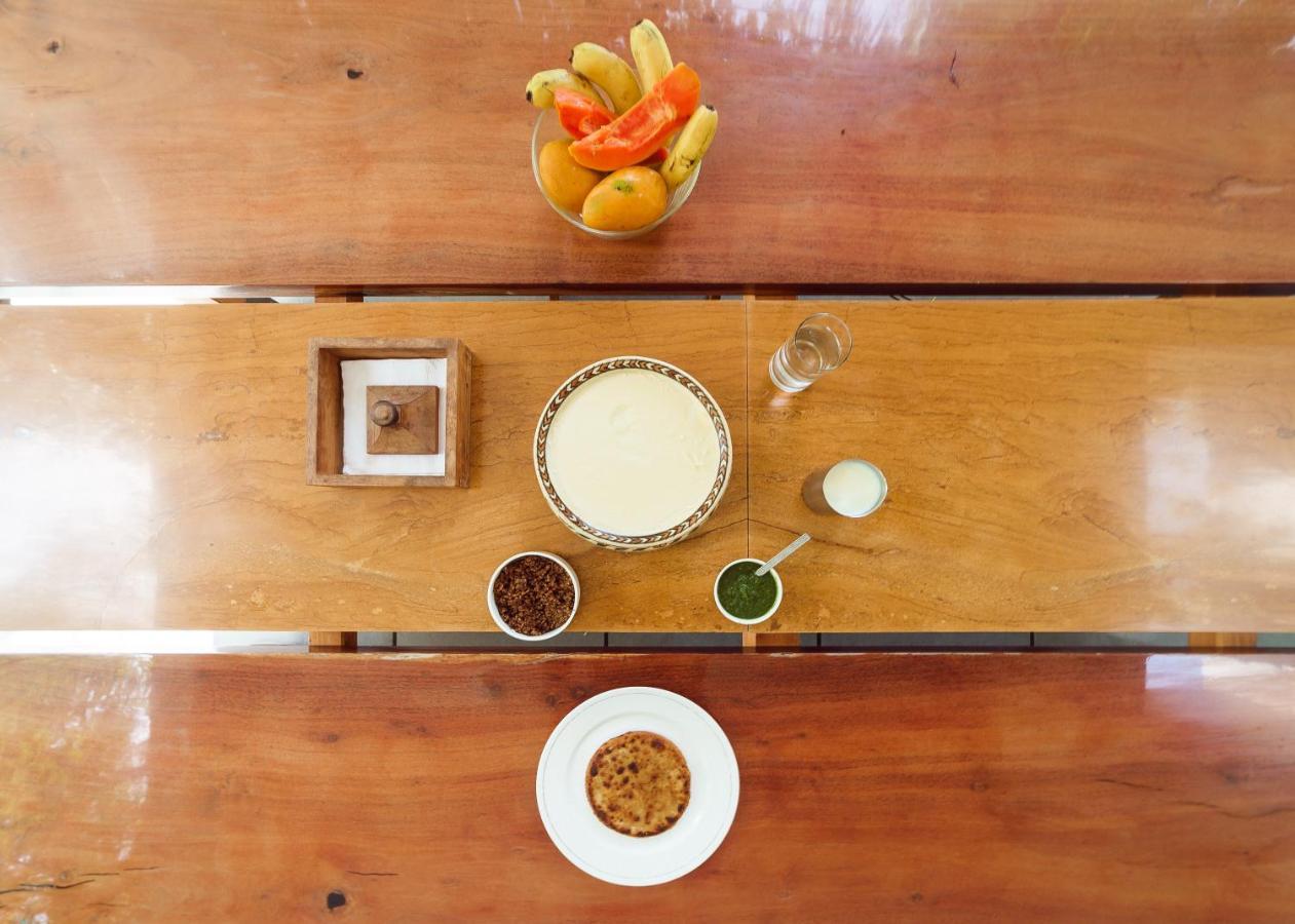 Pushkarorganic - Lux Farm Resort With Pool 外观 照片