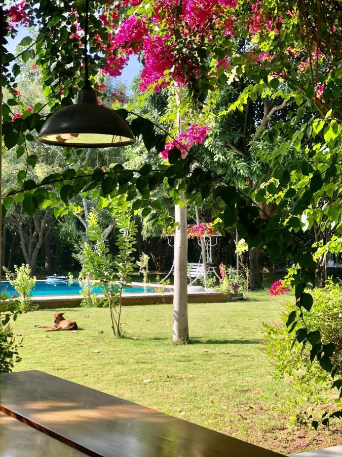 Pushkarorganic - Lux Farm Resort With Pool 外观 照片