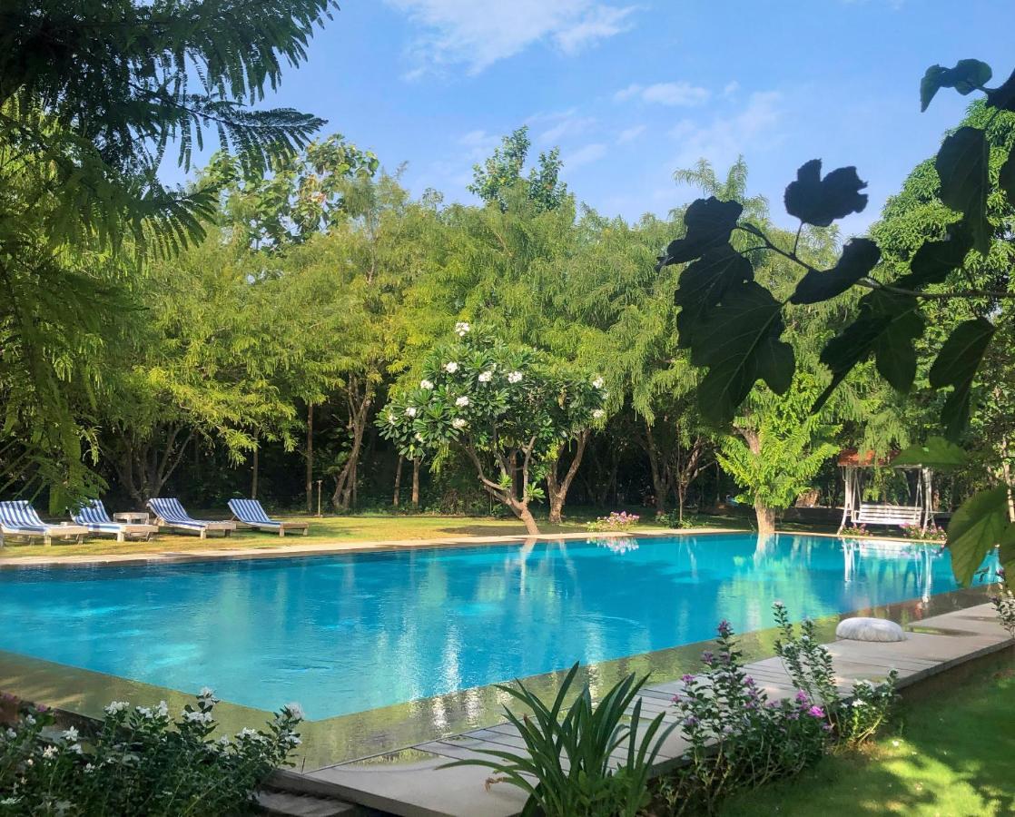 Pushkarorganic - Lux Farm Resort With Pool 外观 照片