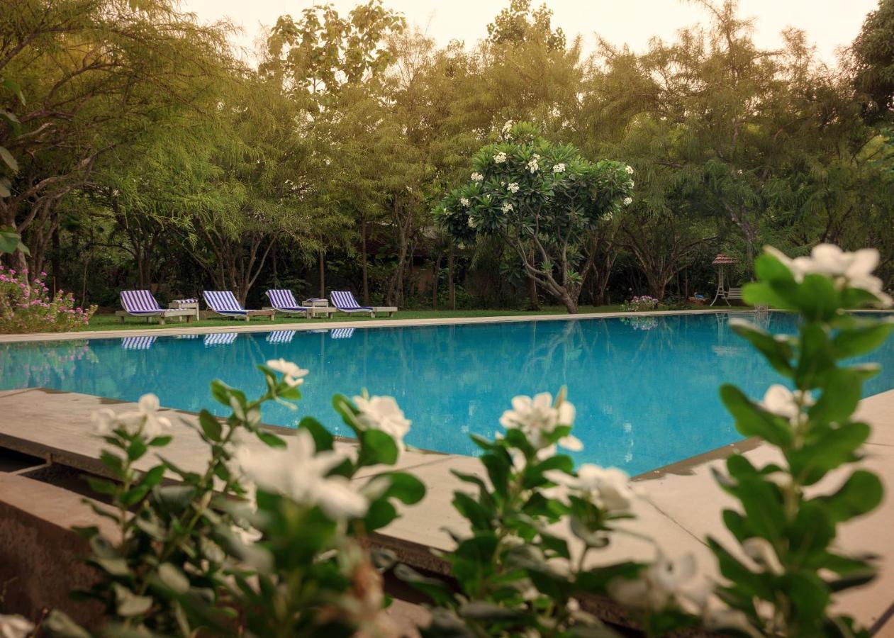 Pushkarorganic - Lux Farm Resort With Pool 外观 照片